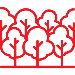 Red outline of trees.